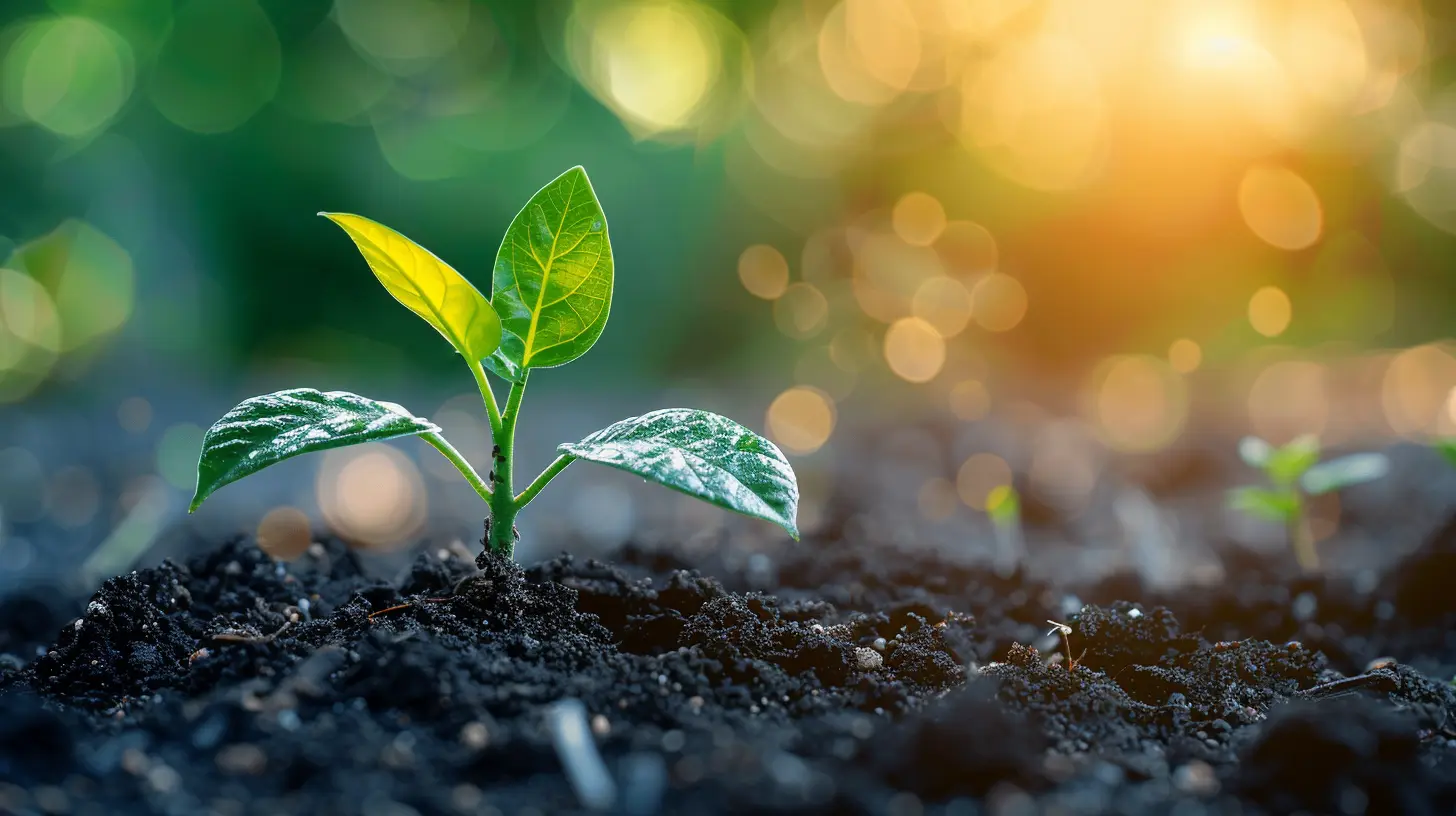 - How to Develop Resilience for Sustained Productivity