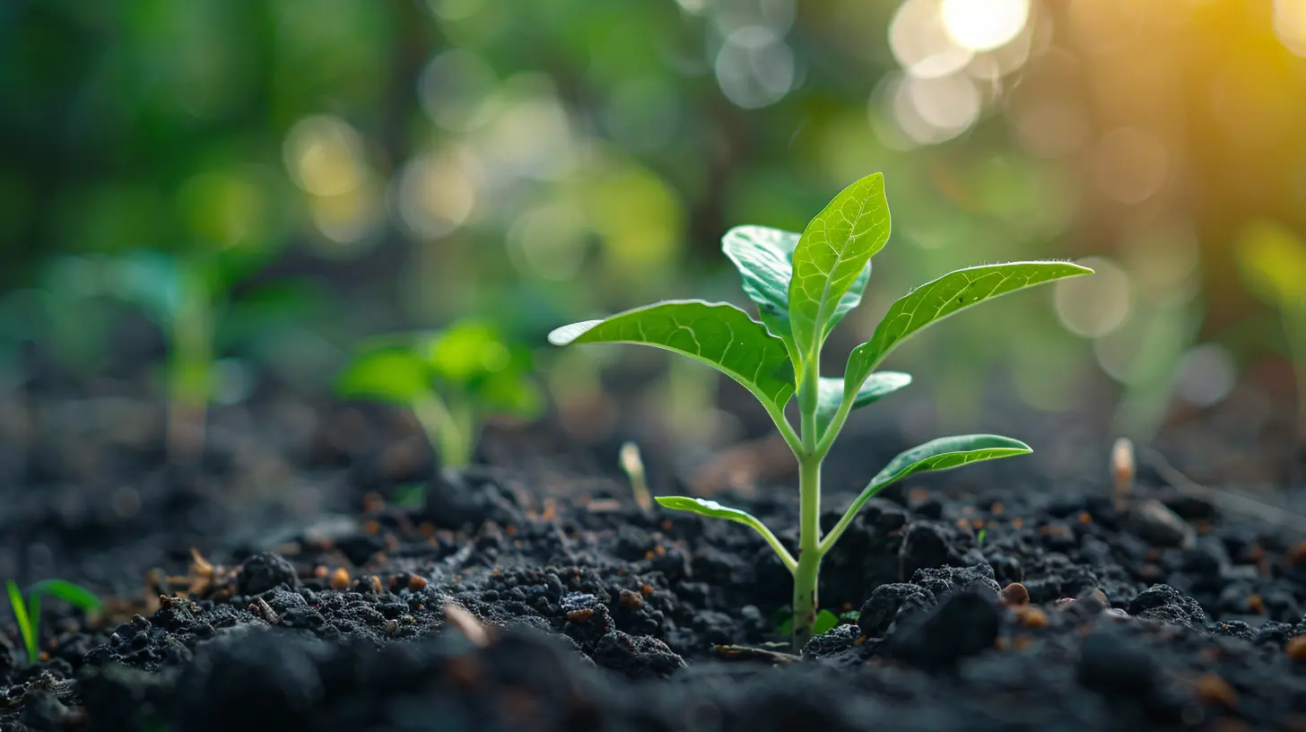 Building a Scalable Sales Model to Support Market Growth