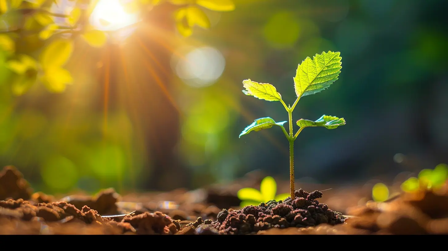 Effective Strategies for Scaling Your Business