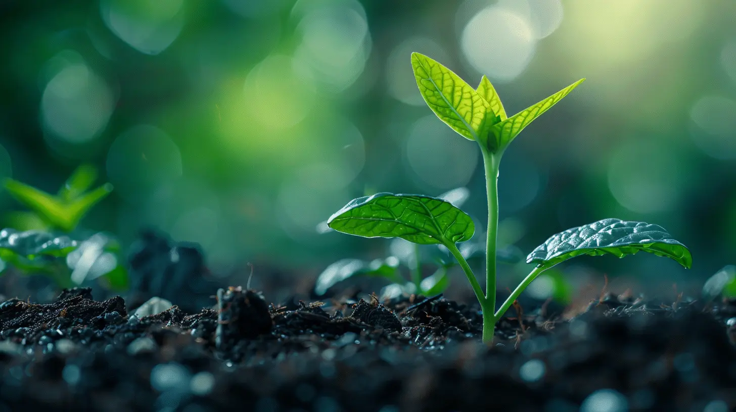 Financial Planning for the Expansion of Your Business