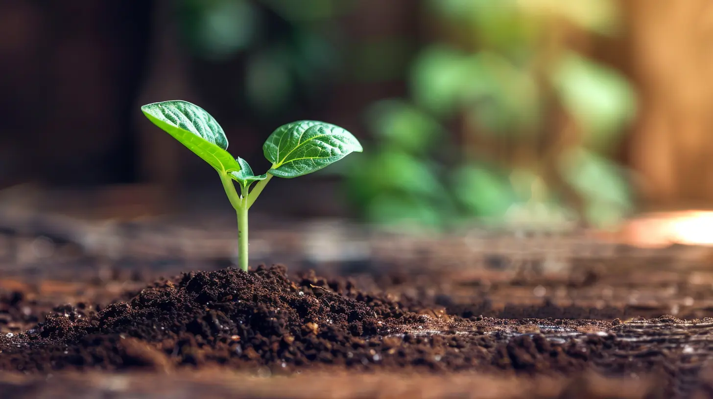 Harnessing Optimism for Long-Term Business Growth