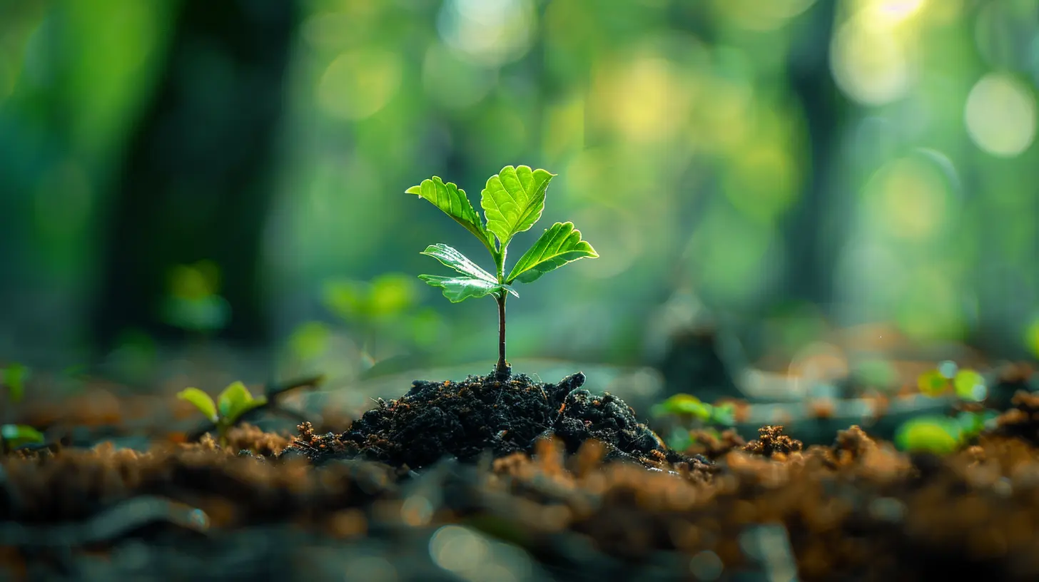 How to Build a Scalable Business Model from Day One