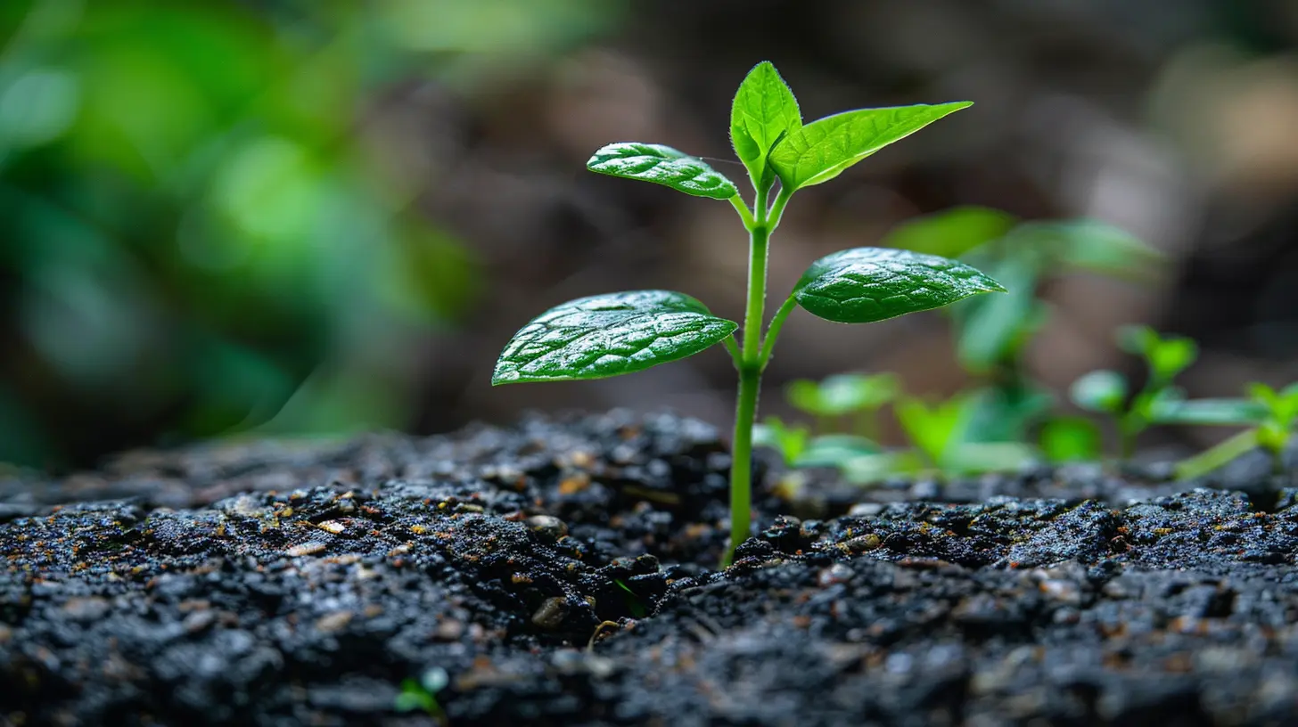 How to Build a Scalable Sales Process that Drives Growth