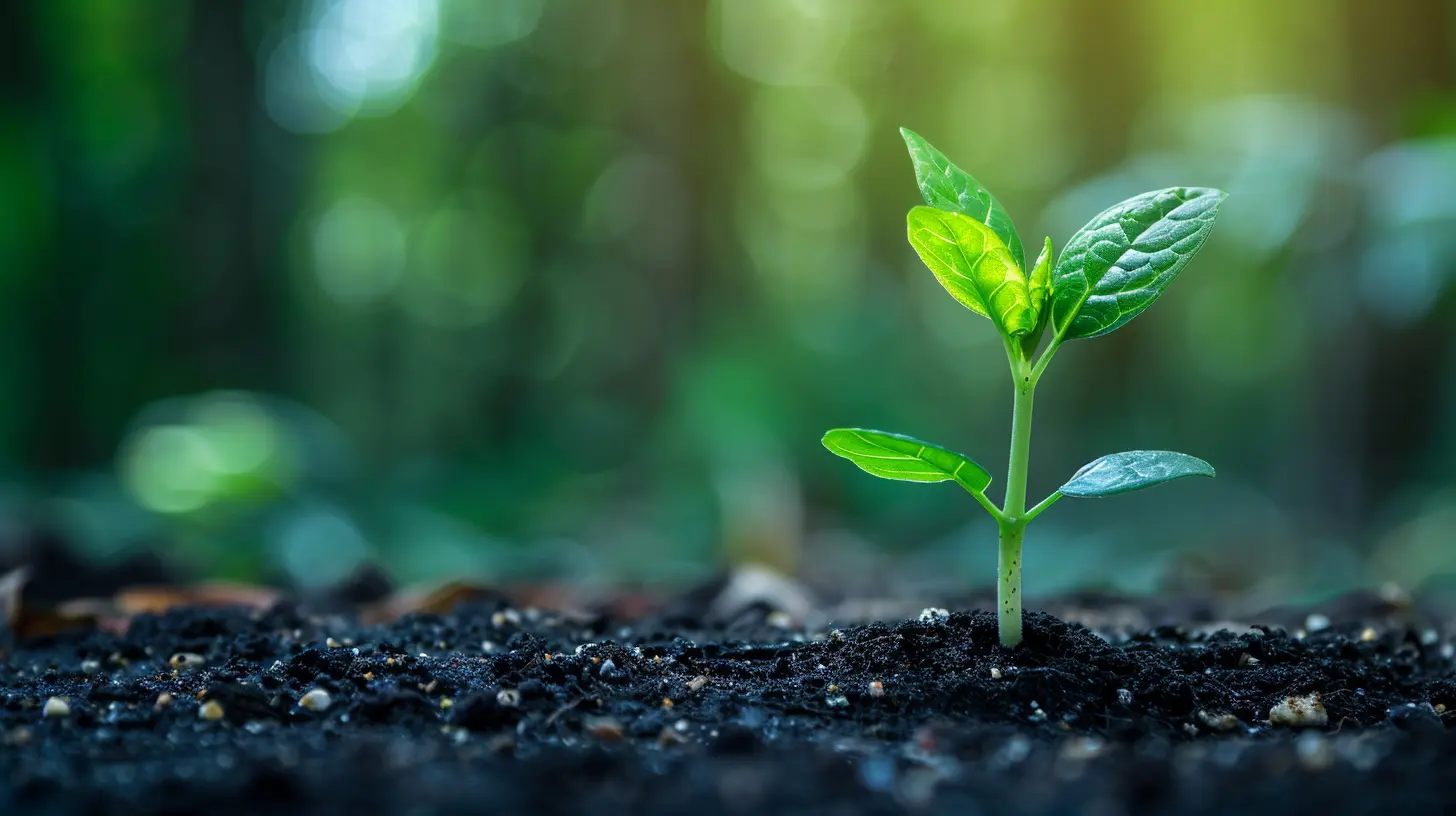 Secrets to Cultivating a Strong Company Culture Early On