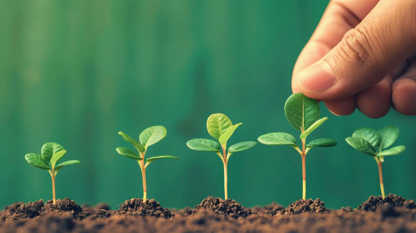 The Importance of Mentorship in Growing Your Business