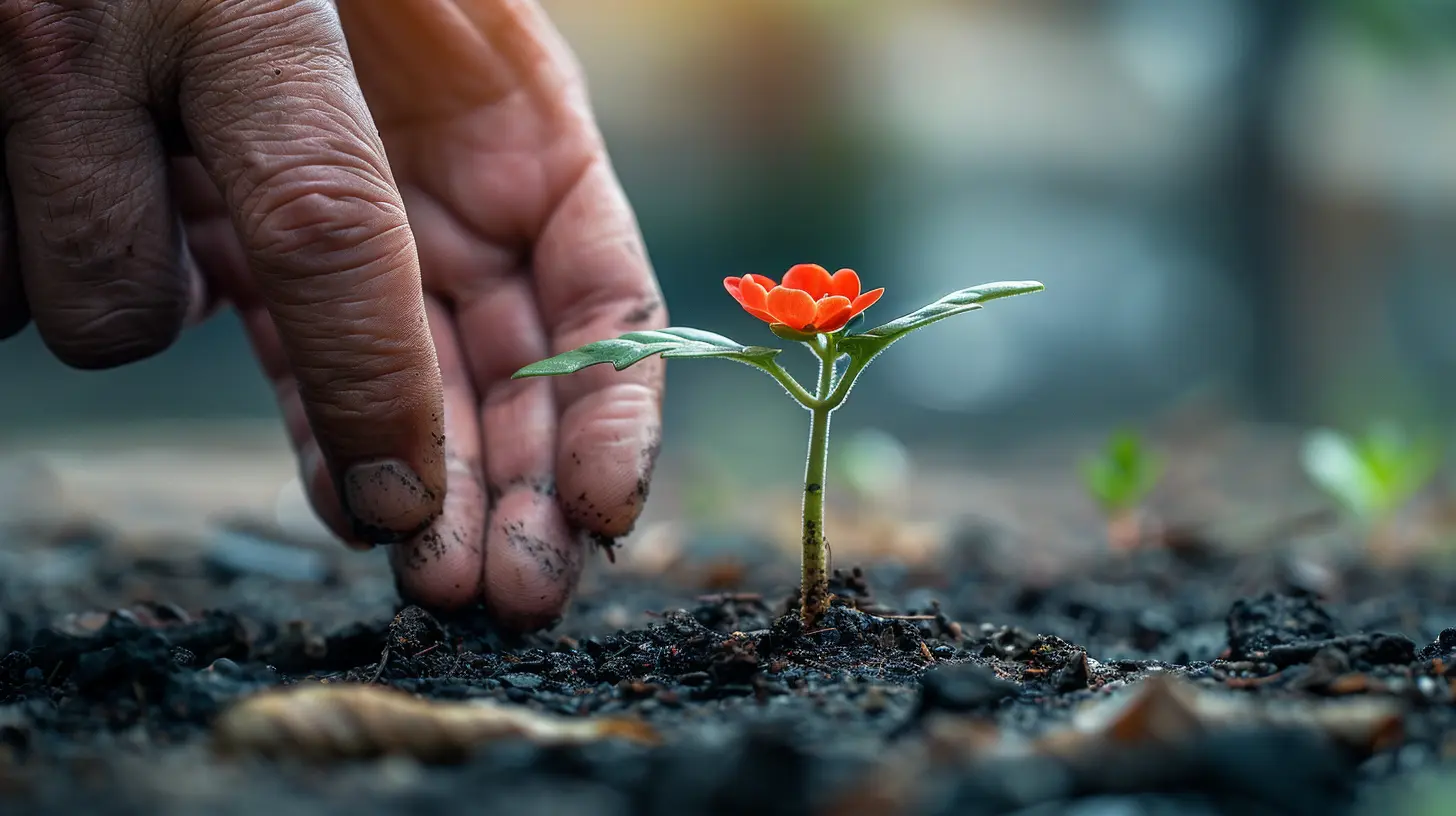 The Importance of Mentorship in Growing Your Business