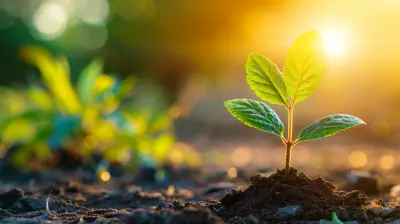 - How to Develop Resilience for Sustained Productivity
