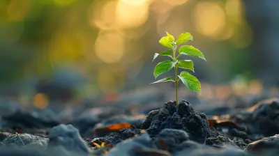 Balancing Growth and Sustainability in Your Financial Strategy