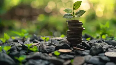 Balancing Risk And Opportunity In High Growth Ventures