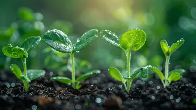 Building a Scalable Sales Model to Support Market Growth