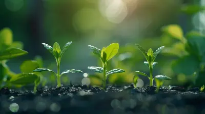 Crafting a Vision for Long-Term Business Growth