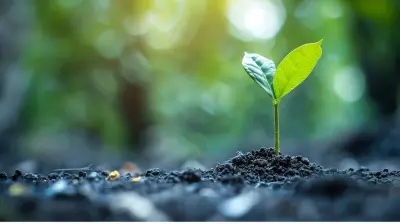 Crafting a Vision for Long-Term Business Growth