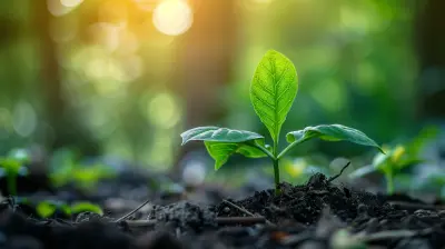 Customer-Centric Product Development: A Step-by-Step Guide