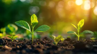 Driving Sustainable Innovation in Product Development