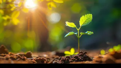 Effective Strategies For Scaling Your Business