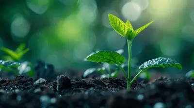 Financial Planning for the Expansion of Your Business