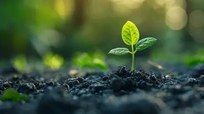 Financial Planning for the Expansion of Your Business