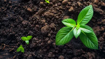 How To Create A Growth Focused Sales And Marketing Alignment