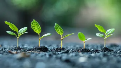 How to Use Data Analytics to Guide Business Growth