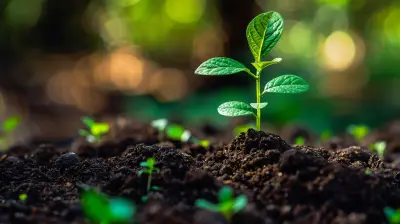 The Future of Entrepreneurship Lies in Conscious Mindset