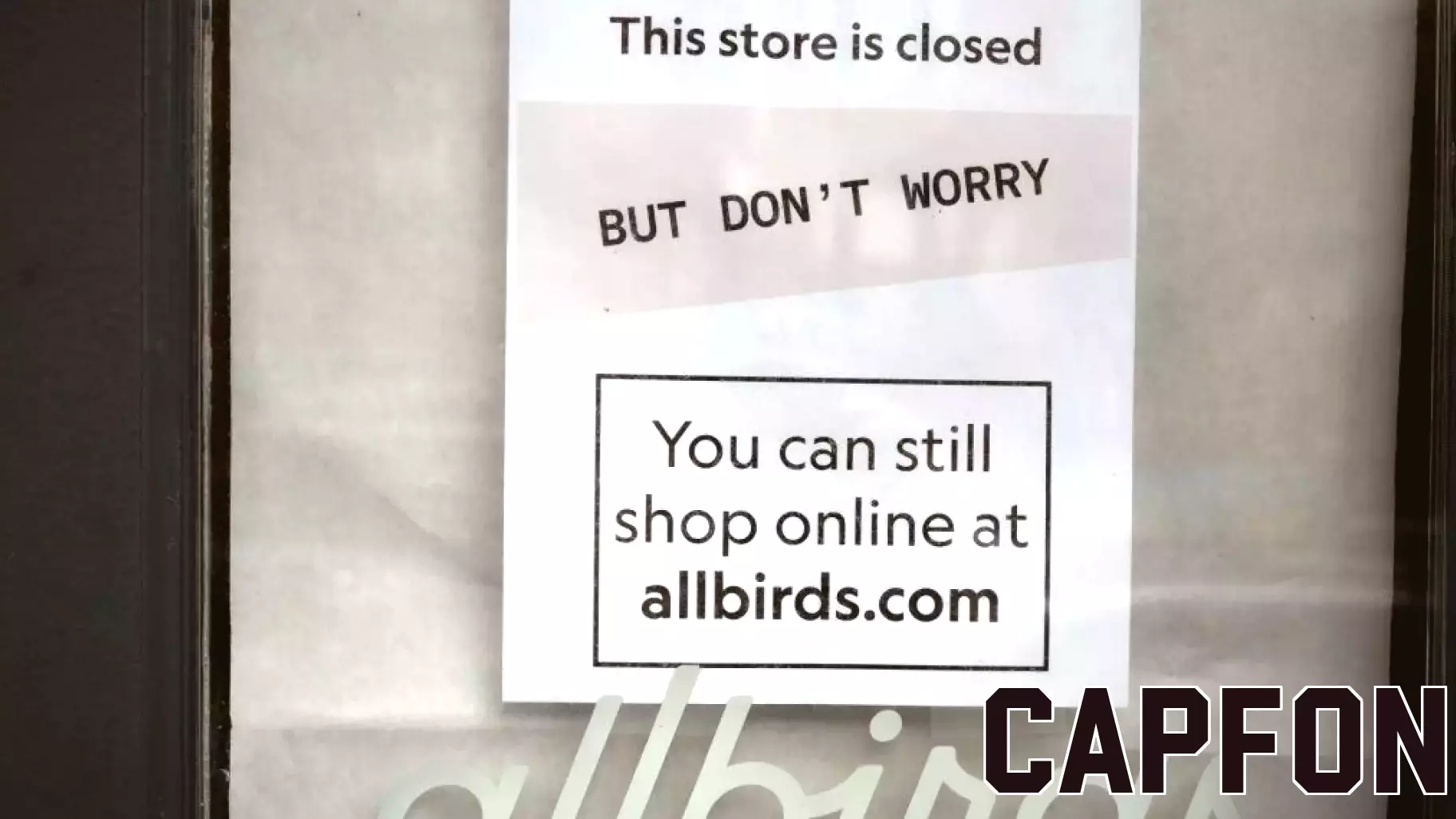 Allbirds ditches sneaker business to pivot to AI compute, stock surges over 700%