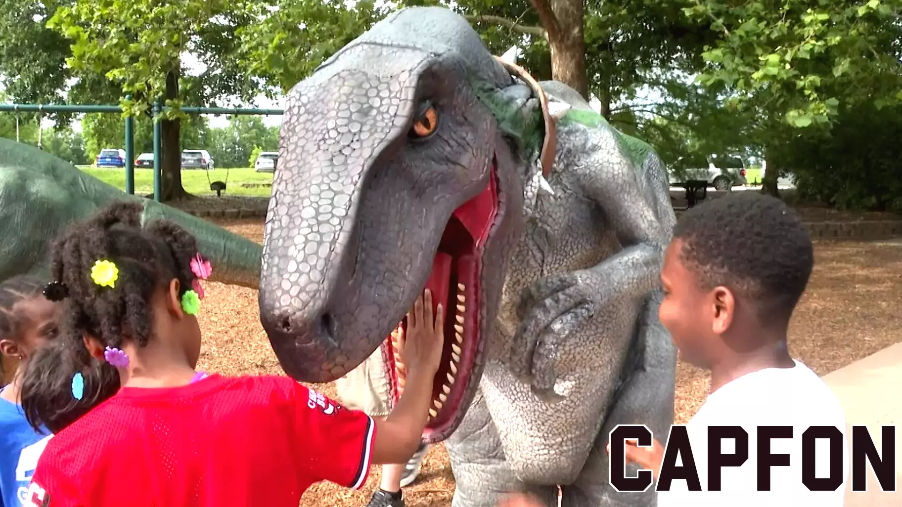 From Laughter to Dinosaurs: A Missouri Couple's Unique Venture
