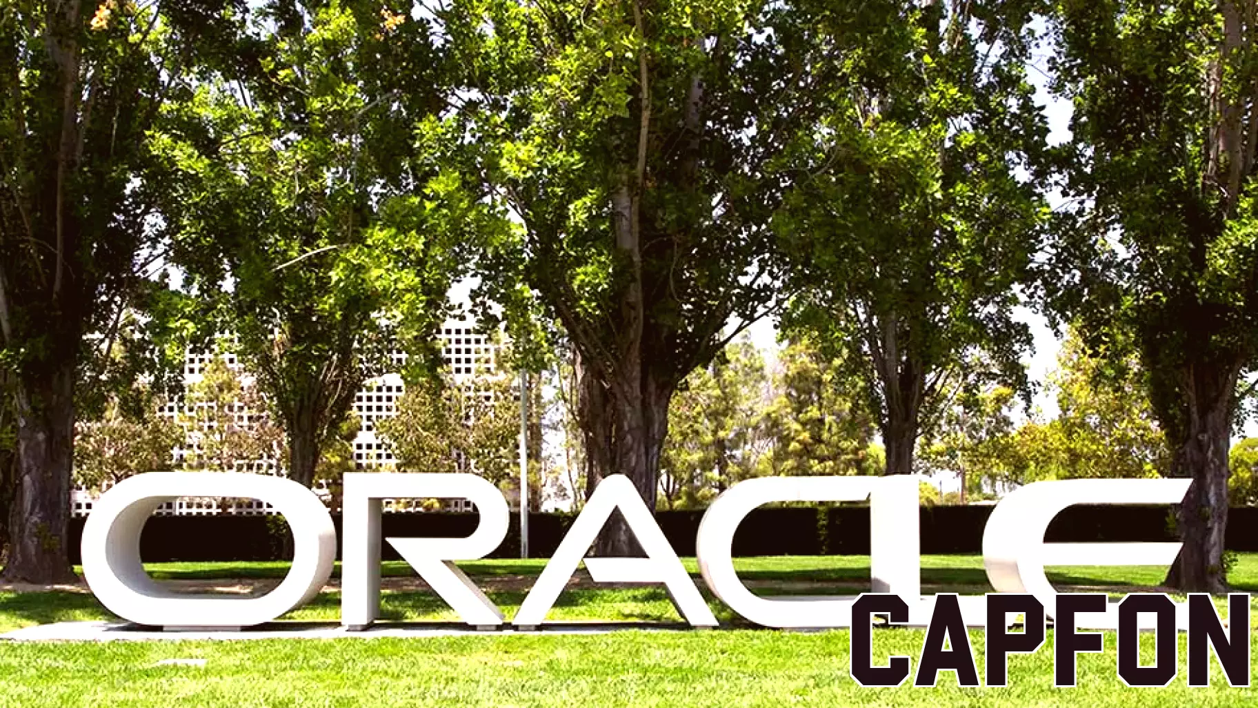 Oracle Shares Decline Amid Concerns Over AI Cloud Profitability
