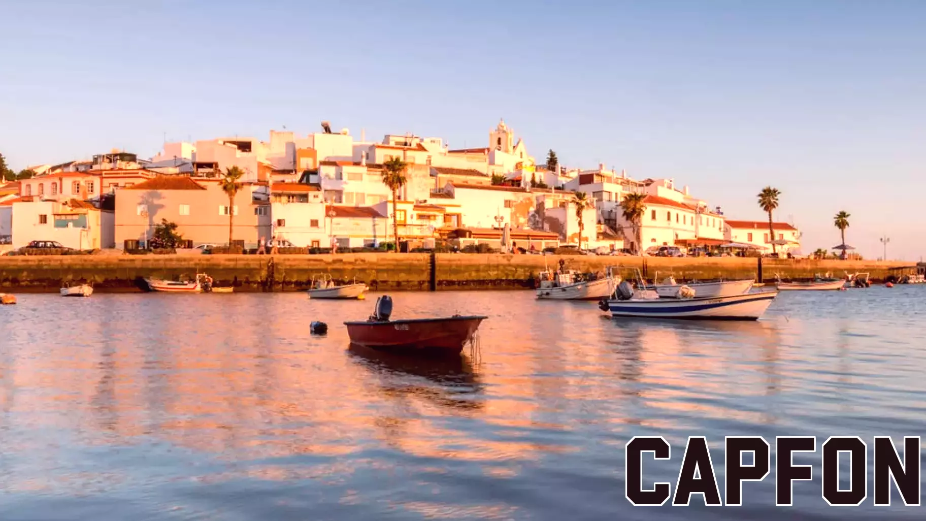 Reflections on My Journey to Afro Nation Festival in Portugal