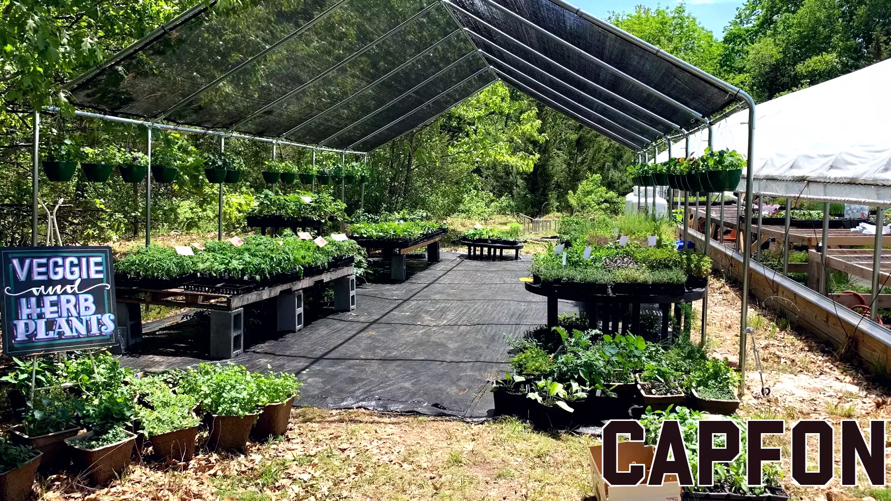 RISBDC helping small and family-owned businesses blossom