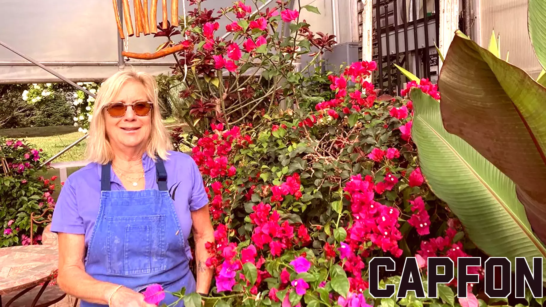 Seniors: Carol Watson, 72