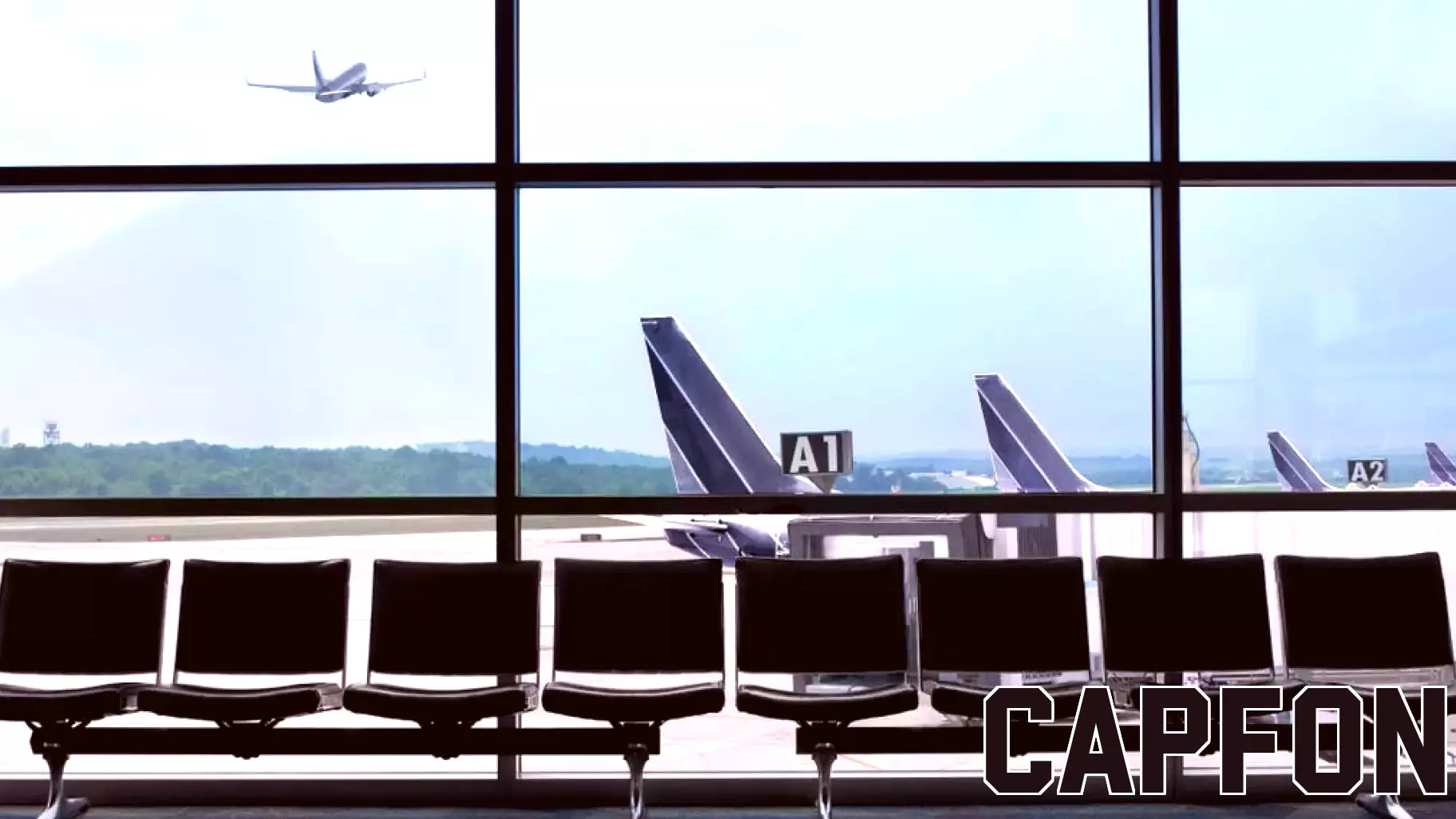 Shift in Canadian Travel Trends: Domestic and International Destinations on the Rise
