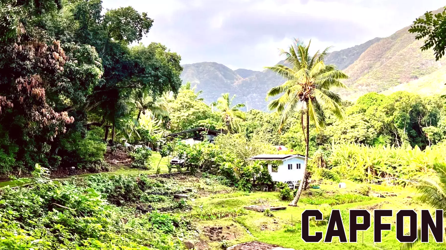 Surprising things about visiting Hawaii's friendliest island, Molokai