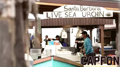 Dor Fish Market: A Century-Old Tradition in the Community
