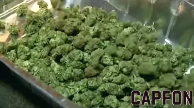 First Individual Banned from Michigan's Marijuana Industry