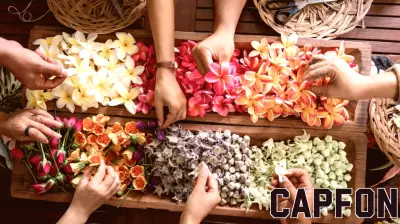 Local Businesses Invited to Learn How to Reach Hawaii's Visitors