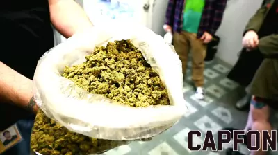 Marijuana Reclassification: What Business Owners Need to Know About Trump's New Policy