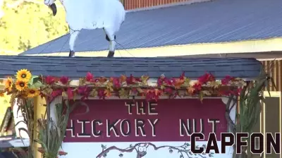 Rebuilding After Helene: A Long Road for Local Business