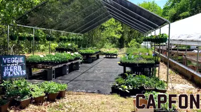 RISBDC helping small and family-owned businesses blossom