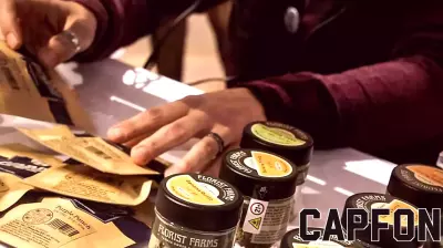 Two Illegal Cannabis Shops in Rochester Shut Down by OCM, Over $1.3 Million in Products Seized